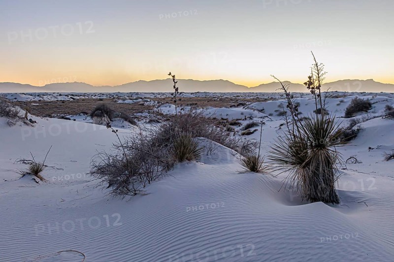 Gypsum dunefields at White Sands National Monument located within the Chihuahuan Desert and the Tularosa Basin near Alamorodo, New Mexico, USA, North America