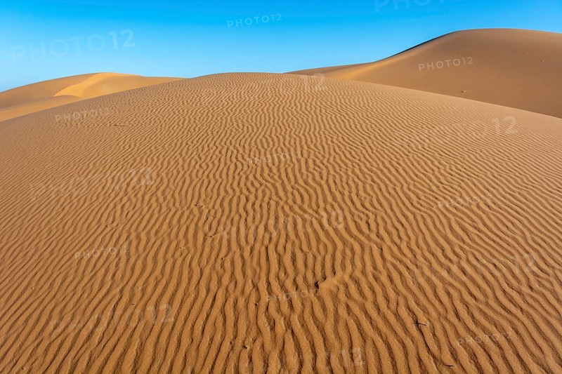 A sandy desert with a blue sky in the background. The sand is ribbed and has a slight slope. Merzouga, Errachidia, Draa-Tafilalet, Morocco, Africa