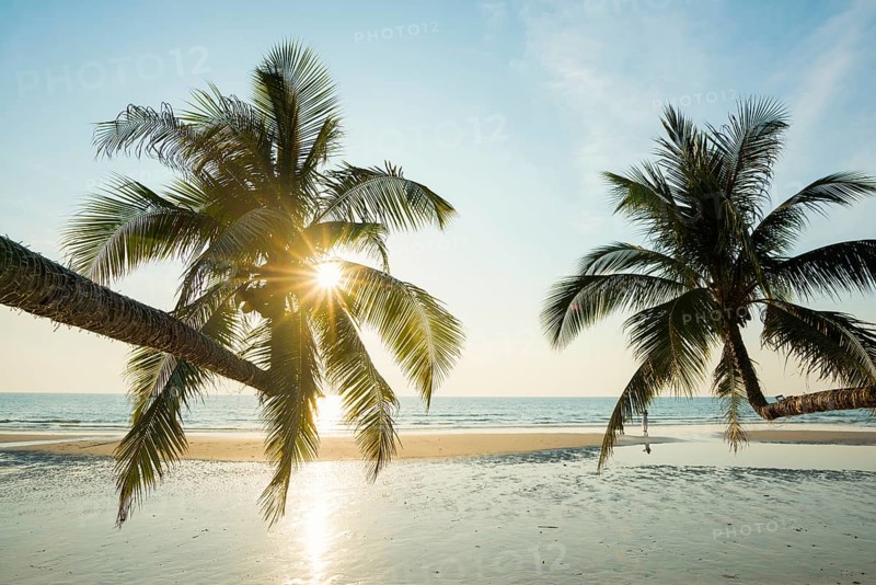 Sandy beach beach with coconut palms, Khlong Chao Beach, sunset, Koh Kood, Koh Kut, Gulf of Thailand, Thailand, Asia