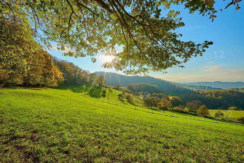 An idyllic landscape with green meadows, trees and hills, illuminated by the sun, Vöckelsbach, Mörlenbach, Bergstrasse district, Odenwald, Hesse, Germany, Europe
