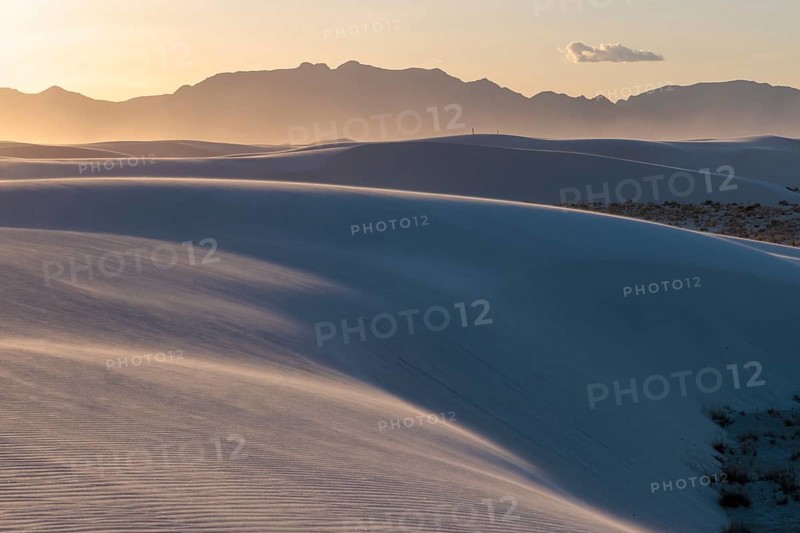 Smooth curved sand dunes in evening light at White Sands National Park in Alamogordo, New Mexico, USA, North America
