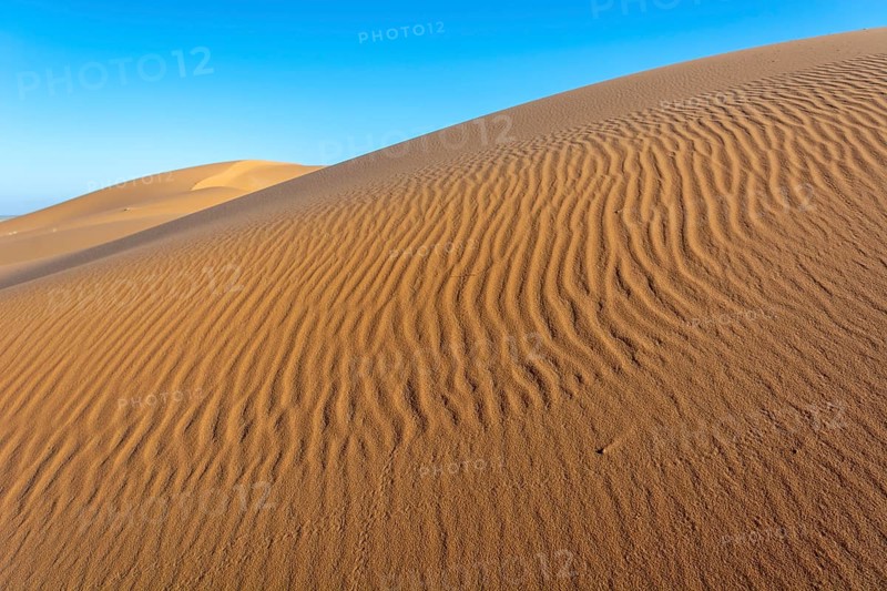 A sandy desert with a blue sky in the background. The sand is ribbed and has a slight slope. Merzouga, Errachidia, Draa-Tafilalet, Morocco, Africa