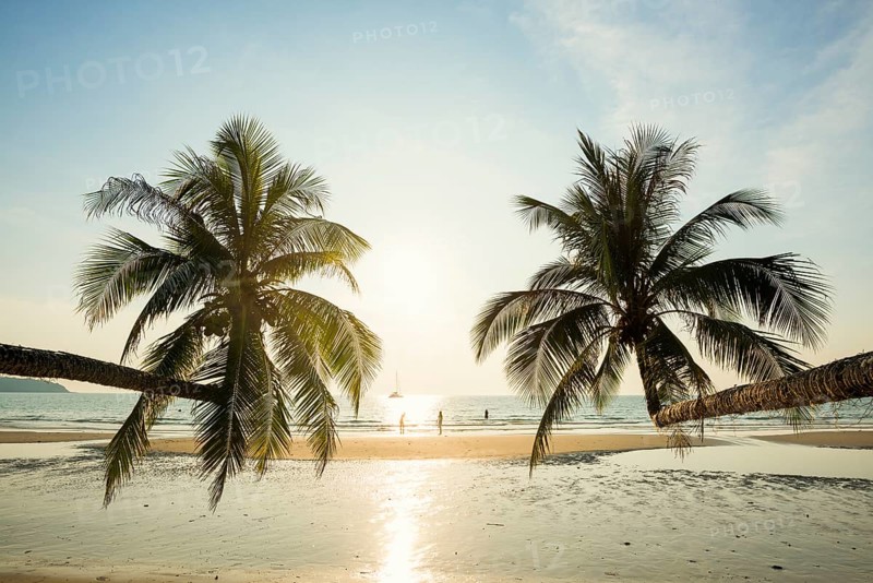 Sandy beach beach with coconut palms, Khlong Chao Beach, sunset, Koh Kood, Koh Kut, Gulf of Thailand, Thailand, Asia