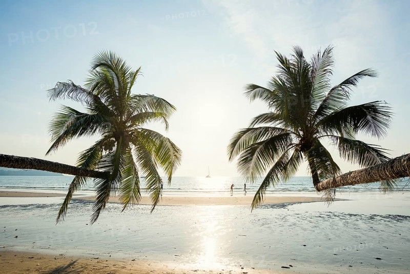Sandy beach beach with coconut palms, Khlong Chao Beach, sunset, Koh Kood, Koh Kut, Gulf of Thailand, Thailand, Asia