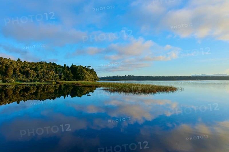 Blue sky and clouds reflected in a calm lake with a forested shore, Lake Mahinapua, Ruatapu, South Island, New Zealand, Oceania
