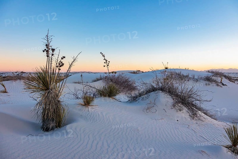 Gypsum dunefields at White Sands National Monument located within the Chihuahuan Desert and the Tularosa Basin near Alamorodo, New Mexico, USA, North America