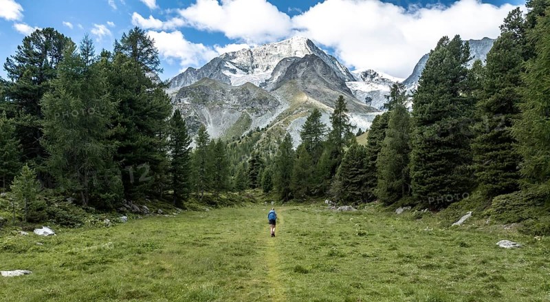 Mountaineer on a hiking trail between trees, mountain landscape near Arolla, in the background mountain peak Mont Blanc de Cheilon and glacier Glacier de Tsijore Nouve, Valais, Western Alps, Switzerland, Europe
