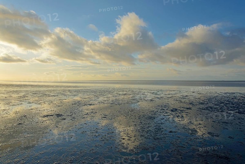 North Sea, Wadden Sea at low tide, blue sky with low clouds (cumulus), Norddeich, Lower Saxony, Germany, Europe