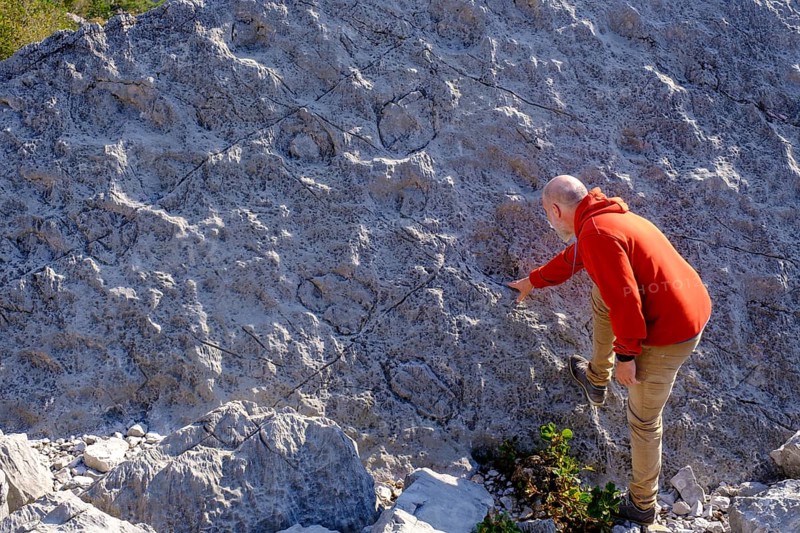 Dinosaur tracks, rockslide area, Marocche di Dro biotope, near Dro, Sarca Valley, Trentino, Italy, Europe