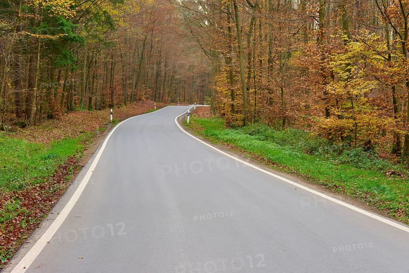 Asphalt road winds through autumn-coloured forest, Buchen, Odenwald, Neckar-Odenwald district, Baden-Württemberg, Germany, Europe