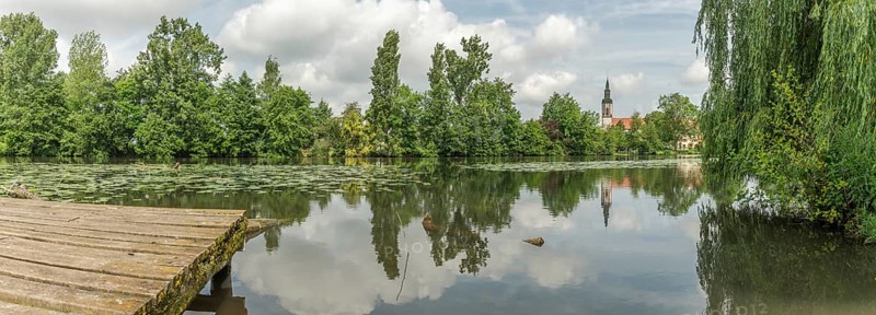 A lake with a tree in the background. The water is calm and still. A building can be seen in the background. Huttenheim, Bas rhin, Alsace, Grand Est, France, Europe