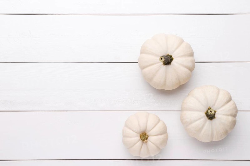 White decorative pumpkins Baby Boo on the white wooden background, flat lay with copy space