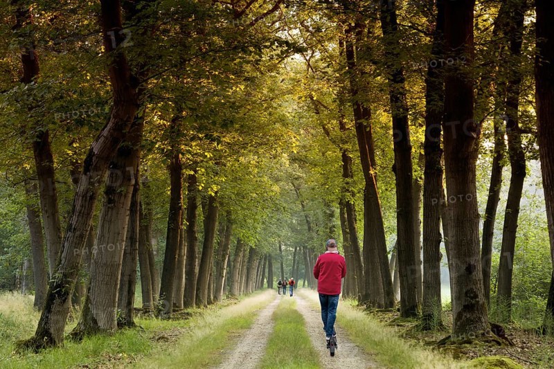 Walkers strolling through an avenue, Netherlands