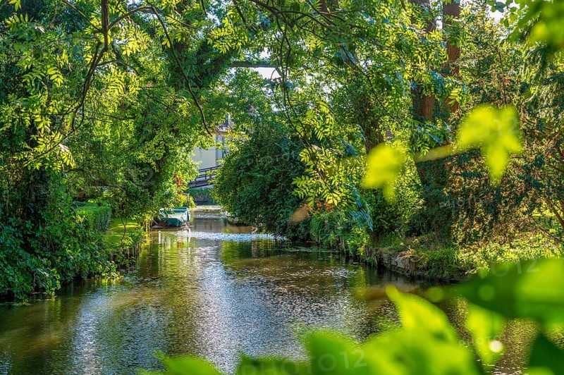 The Spree on the outskirts of the city