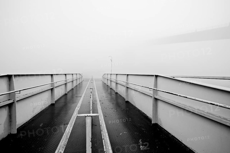 Foggy autumn day in the n