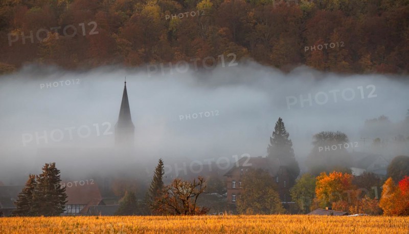 Güntersberge Harz Selketal in Autumn