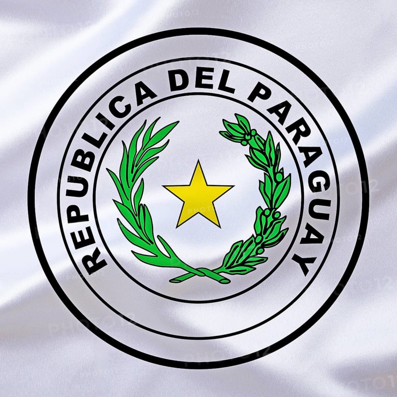 The coat of arms of Paraguay, country in South America, Studio