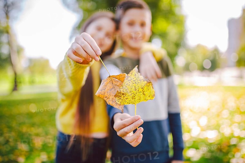 Happy twins teenagers boy and girl posing hugging each other in autumn park holding fallen yellow leaves in hand in sunny weather. Autumn season theme. Brother and sister have fun playing with leaves