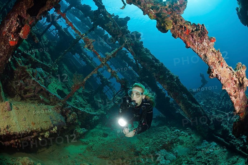 Divers on the wreck of the Umbria, Wingate Reef, Red Sea, Sudan, Africa
