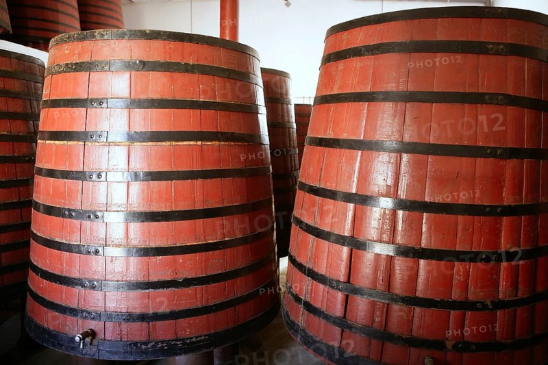Natural wood wine golden barrel cellar in Spain