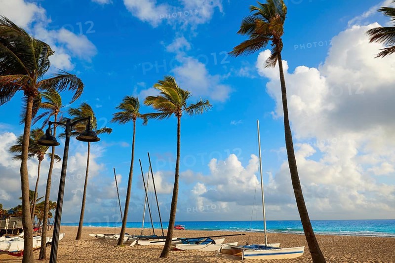 Fort Lauderdale beach morning sunrise in Florida USA palm trees