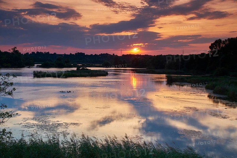 Garstadt bird sanctuary, district of Schweinfurt, Lower Franconia