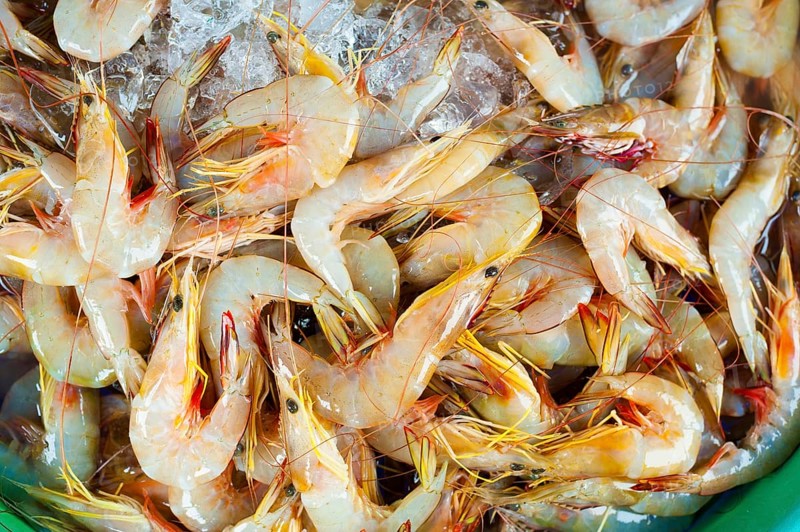 Many raw shrimps on ice for sale