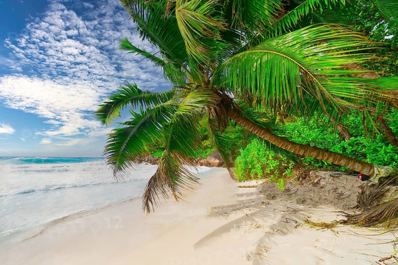 The Beach Anse Georgette at Praslin Island, Seychelles, Indian Ocean, Africa