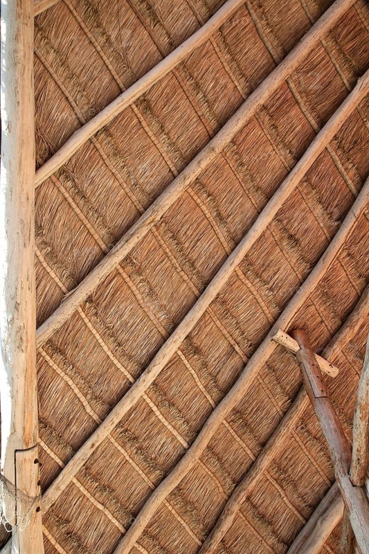 Perfect palapa tropical Mexico wood cabin roof detail