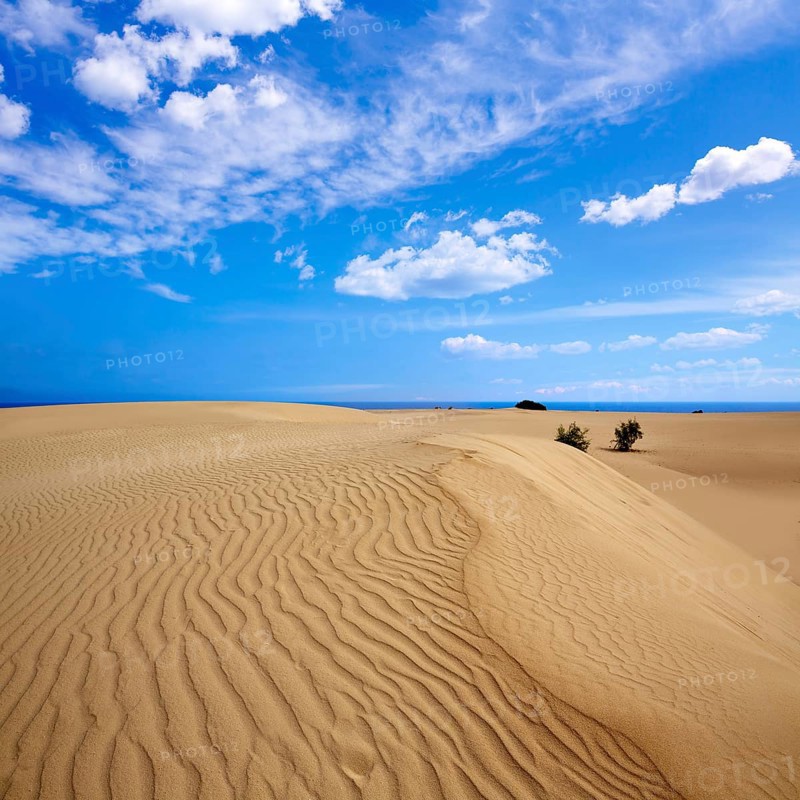 Corralejo dunes Fuerteventura desert at Canary Islands of Spain