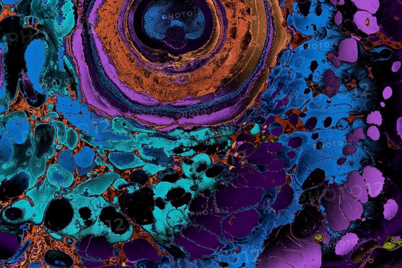 Ebru marble conch effect surface pattern design for print