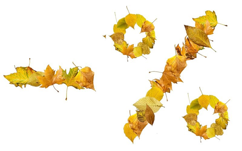 Percents sign made of autumn leaves. White isolated. Sales conseption