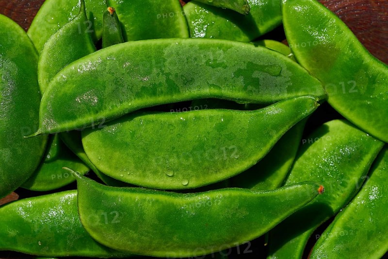 Garrofon mediterranean beans Phaseolus lunatus fresh on wood
