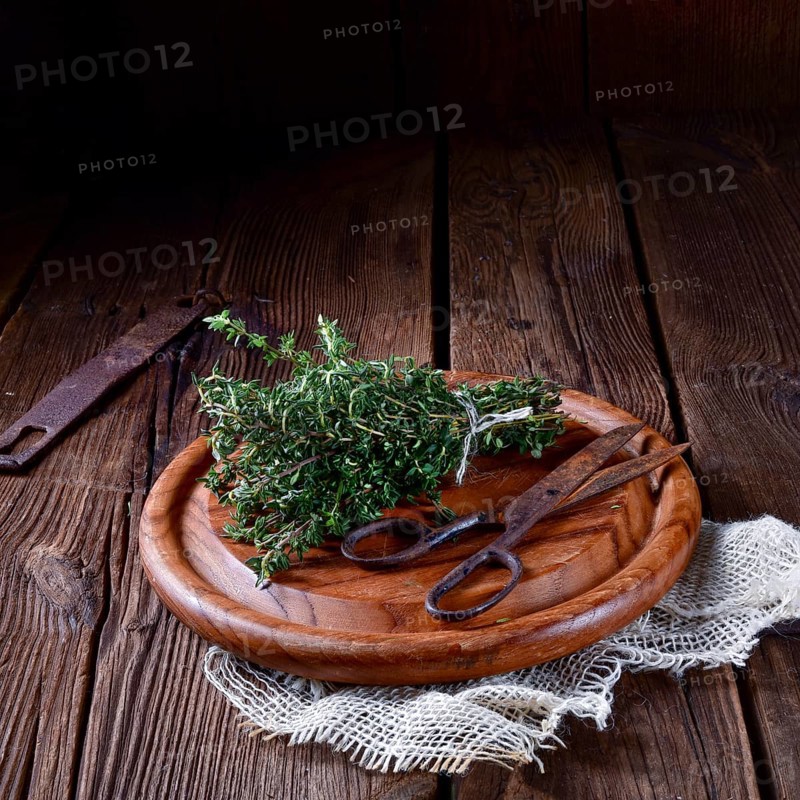 Thyme (Thymus vulgaris)