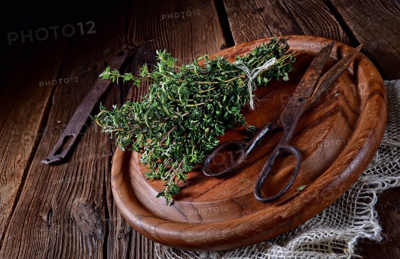 Thyme (Thymus vulgaris)