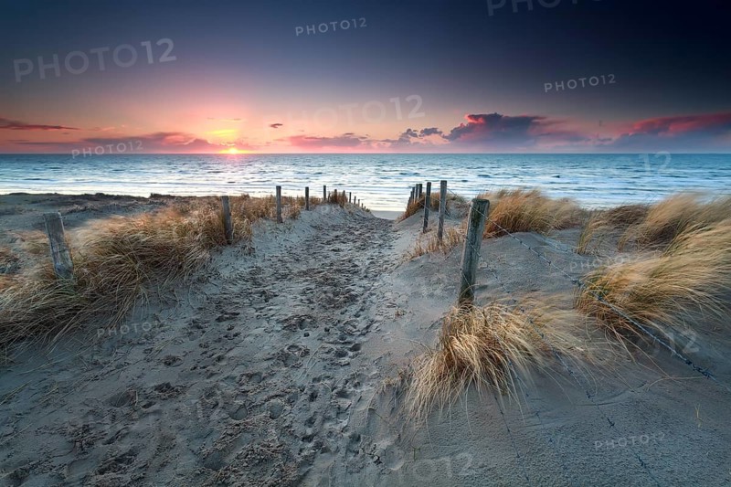 Sand path to North sea beach at sunset