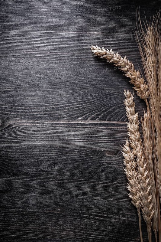 Wheat and rye ears on wooden board copyspace