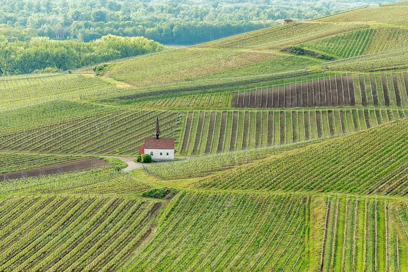 Eichert Kapelle in the vineyard in spring. Sasbach am Kaiserstuhl, Emmendingen Bade-Wurtemberg, Allemagne