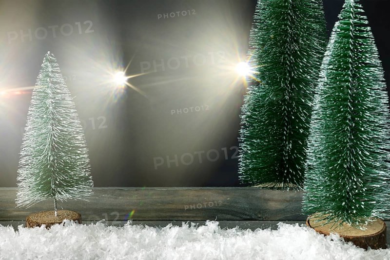Christmas decoration background with fir trees and light flares