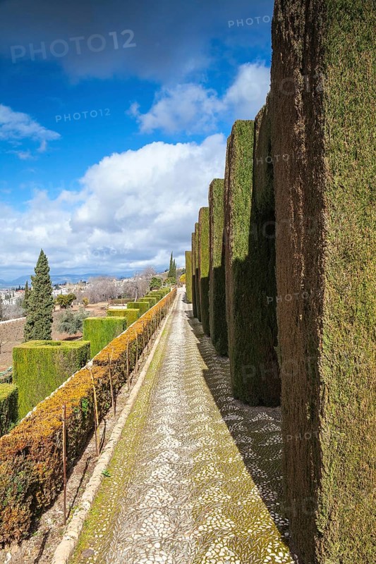 Gardens of La Alhambra in Granada, Spain, Europe