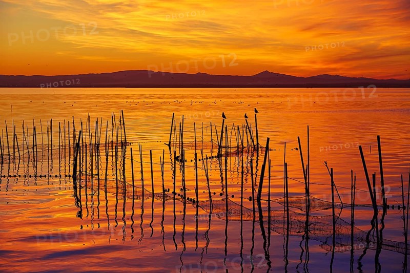 La Albufera lake sunset in El Saler of Valencia at Spain