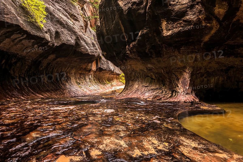 Magnificent Subway gorge landmark in the Zion National Park in Utah, USA, North America