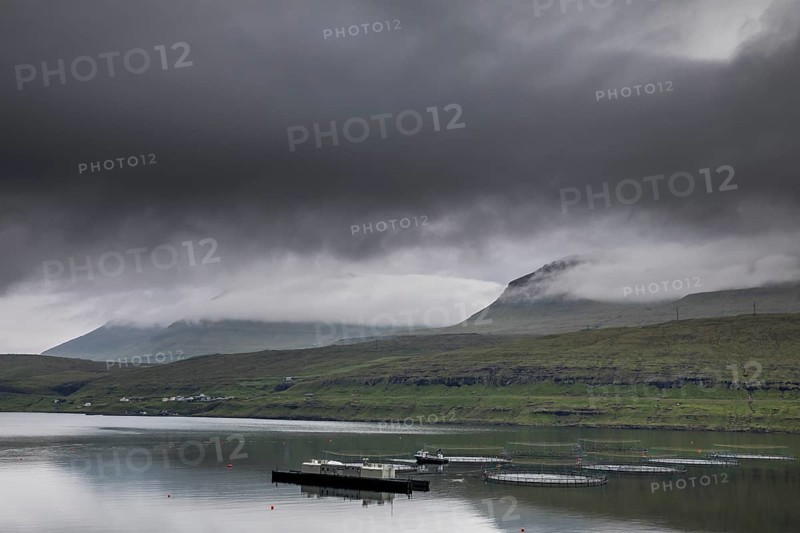 The wild landscape of the Faroe Islands