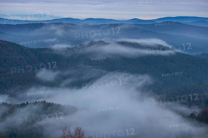 Landscape shot with cloudy sky and fog in the valley. View from a rock in the middle of forest and nature. Viewpoint in the morning in the Palatinate Forest, Germany, Europe