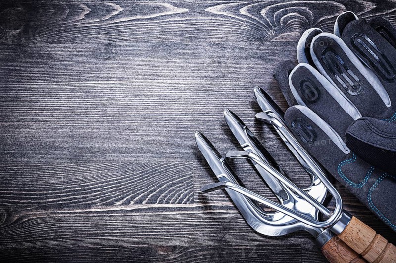Rake trowel fork safety gloves on wooden board agriculture concept
