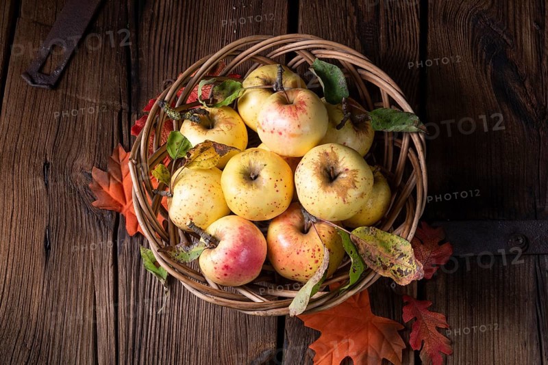 Fresh and delicious organic apples in a basket