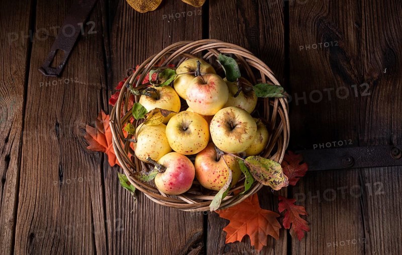 Fresh and delicious organic apples in a basket