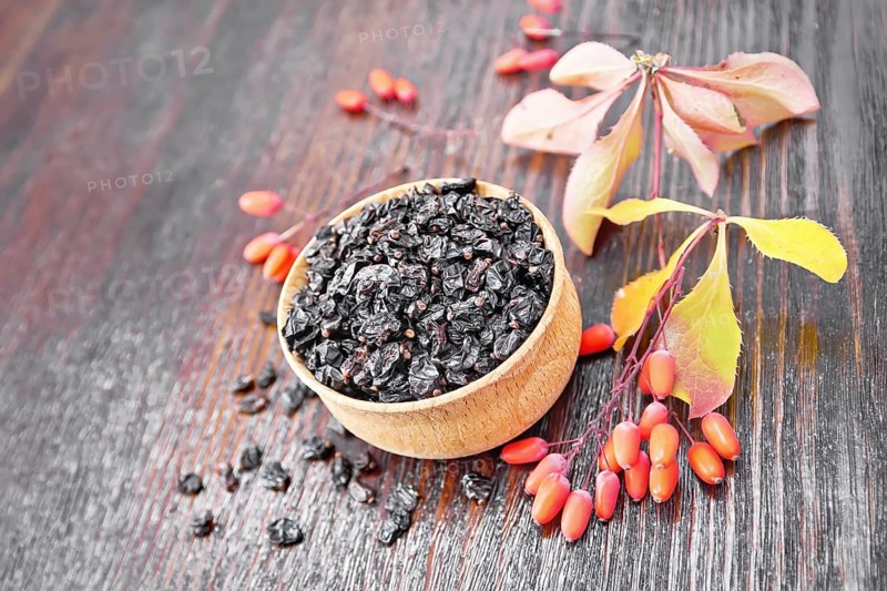 Dried black barberry in a bowl, sprigs with fresh berries and leaves on dark brown wooden board background