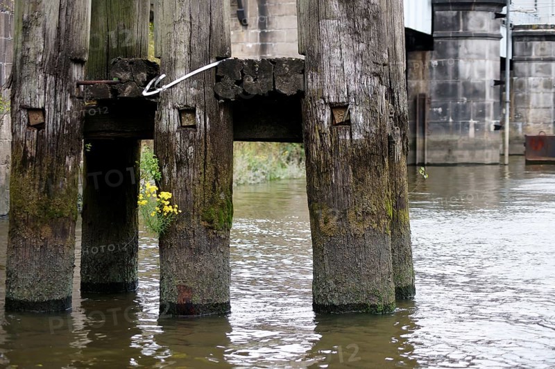 Rotten wooden pillars