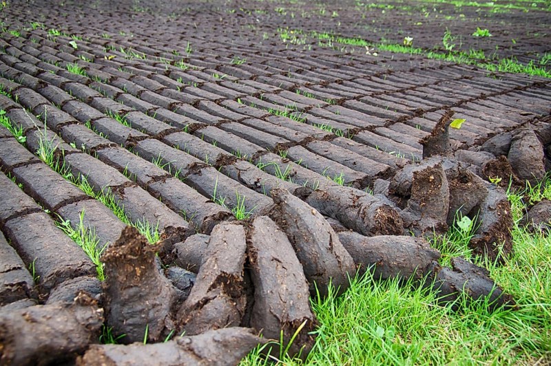 Peat extraction in East Frisia